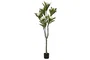 DKD Home Decor Árbol Frangipani Flor Tahiti Blanco 80x80x150 cm