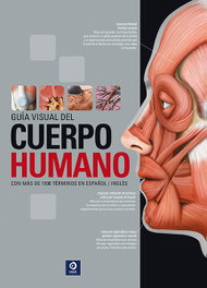 EDIMAT, GUÍA VISUAL DEL CUERPO HUMANO, Sylvian Belanger - EDIMAT