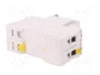 SCHNEIDER ELECTRIC iC60H ACTI9 MCB 2 polos 4A Curva C