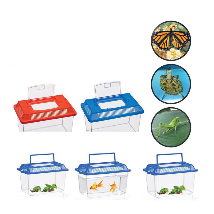 Basics Caja Terrario Insectos Plástico 21 x 13 x 13 cm Colores Surtidos
