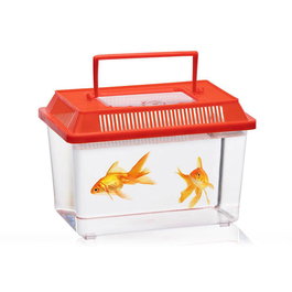 Basics Caja Terrario Insectos Plástico 21 x 13 x 13 cm Colores Surtidos