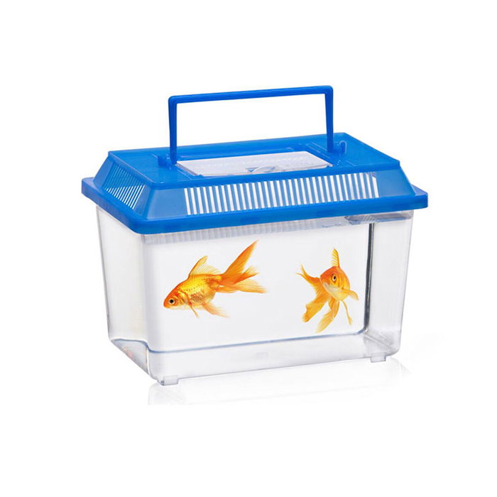 Basics Caja para insectos colores surtidos Basics Caja para insectos colores surtidos
