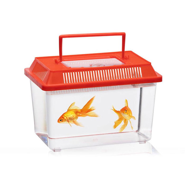 Basics Caja para insectos colores surtidos Basics Caja para insectos colores surtidos