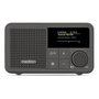 Medion Radio Portátil Digital LIFE S66822 con DAB+, Bluetooth y Pantalla TFT - Gris