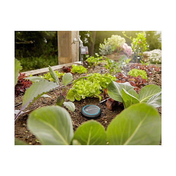 Gardena 1867-20 Bodenfeuchtesensor - Sensor de Humedad del Suelo para Riego, Negro/Azul