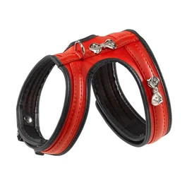 Ferplast Arnés Joy M Rojo