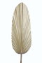 DKD Home Decor Ramas de Hoja de Palmera Brillante 27x2x150 cm