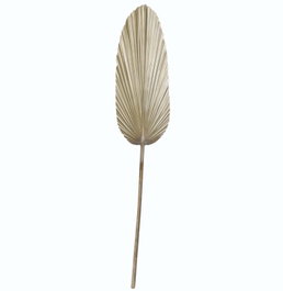 DKD Home Decor Ramas de Hoja de Palmera Brillante 27x2x150 cm