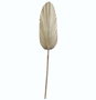 DKD Home Decor Ramas de Hoja de Palmera Brillante 27x2x150 cm