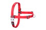Red Dingo Arnés No-Pull S Rojo 15 mm (Set de 10)