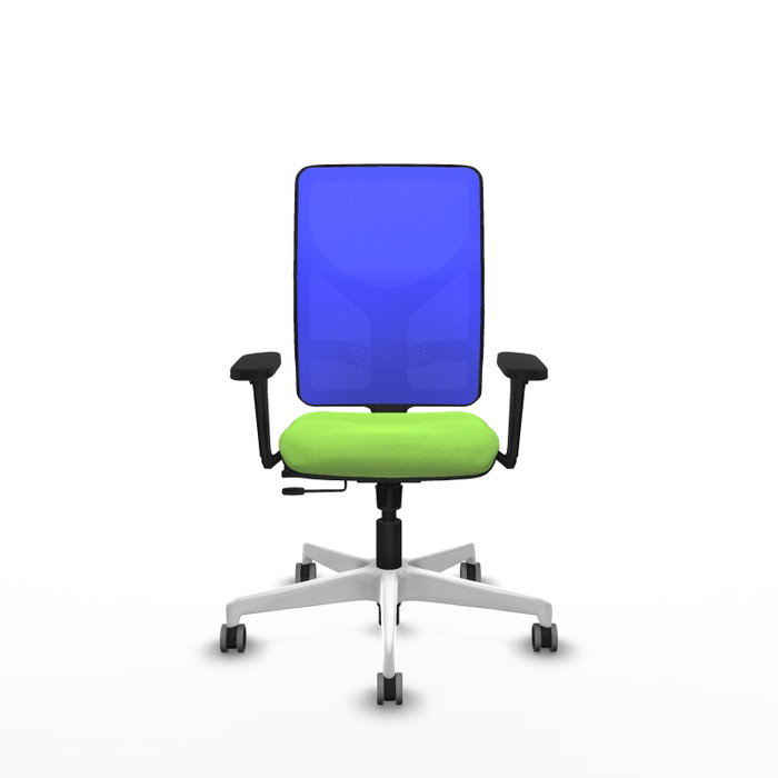 PIQUERAS Y CRESPO Silla de oficina Motilla con mecanismo Sincro/Traslack, Azul y Pistacho PIQUERAS Y CRESPO Silla de oficina Motilla con mecanismo Sincro/Traslack, Azul y Pistacho