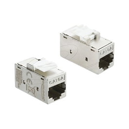 DeLOCK 90989 Módulo Keystone RJ45 hembra a RJ45 hembra Cat.6A Plata/Blanco