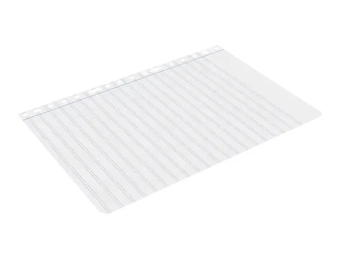 Liderpapel Recambio Folio 100 Hojas 60g Pauta 2,5mm con Margen y 16 Taladros