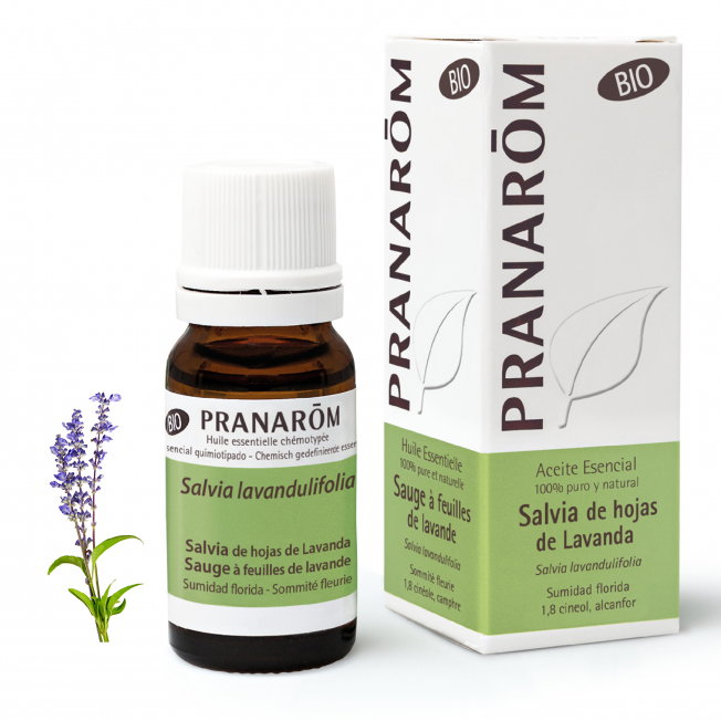 PRANAROM Aceite esencial Salvia hojas de Lavanda BIO 10ml PRANAROM Aceite esencial Salvia hojas de Lavanda BIO 10ml