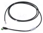 MURRELEKTRONIK Cable para sensores M8 hembra angular 4 pines 1,5m