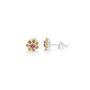 Radiant Pendientes de Botón con Piedra Rosa ROSETONES, Acero Inoxidable, Gris