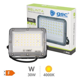 GSC Evolution Proyector LED Belinta 30W 4000K IP65 Negro