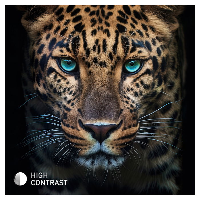 Panasonic TB-24S40AEZ Smart TV LED 24" HD Wifi Negro Panasonic TB-24S40AEZ Smart TV LED 24" HD Wifi Negro