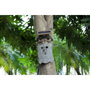 Stealth Owl Solar 4K WiFi Wildlife Camera