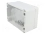 FIBOX EURONORD Carcasa Universal Gris