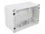 FIBOX EURONORD Carcasa Universal Gris