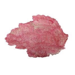 Hoja Coral Rojo 31cm x 7h