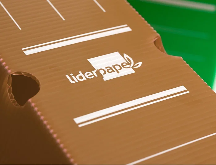 Liderpapel Caja Archivo Definitivo Plástico Marrón 360x100x260 mm