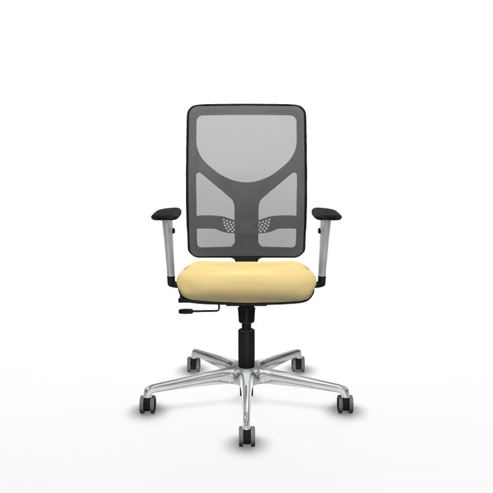 PIQUERAS Y CRESPO Silla de oficina Motilla con mecanismo Sincro/Traslack Crema y Gris PIQUERAS Y CRESPO Silla de oficina Motilla con mecanismo Sincro/Traslack Crema y Gris