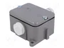 PROMET LK-10 Interruptor de fin de carrera con espiga NO + NC