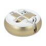 DeLOCK Cable retráctil 2 en 1 USB-A a Micro-B y Lightning Blanco/Oro