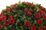 DKD Home Decor Bola de Decoración PE 30x30x30 UV Verde y Rojo