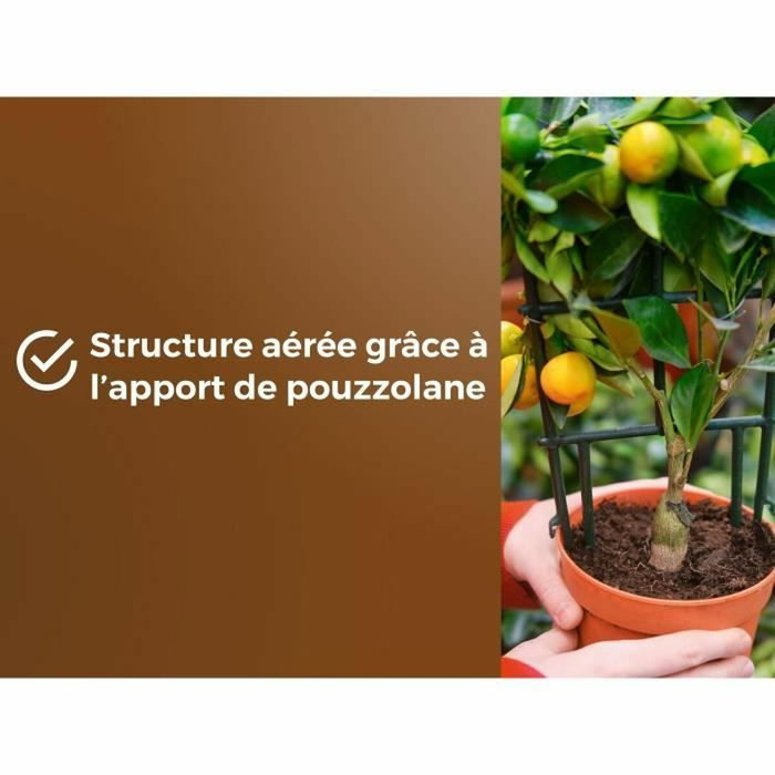 Or Brun Tierra para cítricos y plantas mediterráneas BROWN GOLD 6L Or Brun Tierra para cítricos y plantas mediterráneas BROWN GOLD 6L