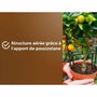 Or Brun Tierra para cítricos y plantas mediterráneas BROWN GOLD 6L