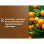 Or Brun Tierra para cítricos y plantas mediterráneas BROWN GOLD 6L