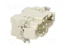 HARTING Han K 6/12 POS. M INSERT Plantilla de contacto macho