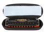 Professional Blues Harmonica In A, Incl. Case And