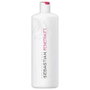 Sebastian Penetraitt Repair Conditioner Acondicionador Reparador 1000 mL