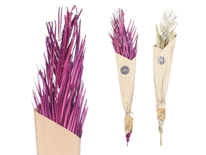 Giftdecor Ramillete Hojas Palmera Surtido Morado y Natural 26x100x4 cm (Set de 20)