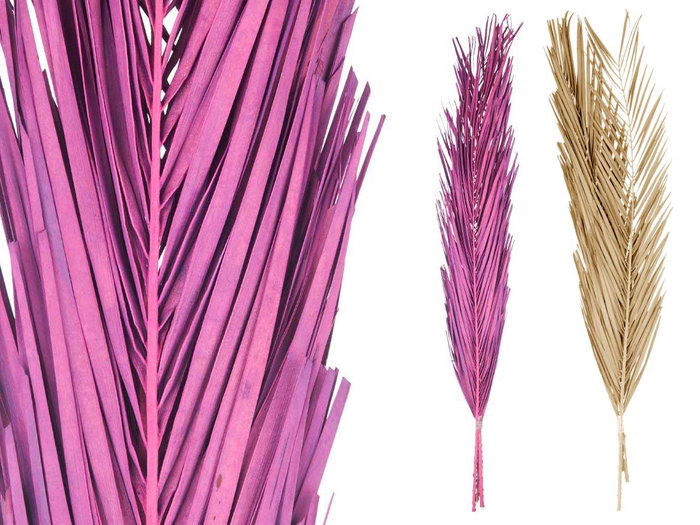 Giftdecor Ramillete Hojas Palmera Surtido Morado y Natural 26x100x4 cm (Set de 20)