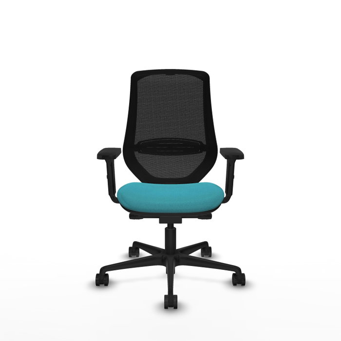 PIQUERAS Y CRESPO Silla de oficina Mardos con mecanismo Sincro/Traslack, Turquesa y Negro PIQUERAS Y CRESPO Silla de oficina Mardos con mecanismo Sincro/Traslack, Turquesa y Negro