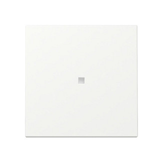 GIRA 329027 Wippe Kontrollf. System 55 Reinweiß Placa Frontal Blanco GIRA 329027 Wippe Kontrollf. System 55 Reinweiß Placa Frontal Blanco