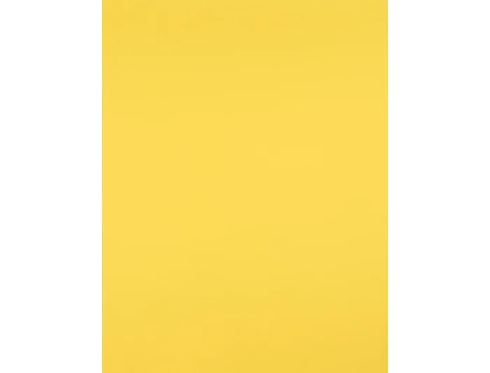 Liderpapel Cartulina Amarillo Limon 50x65 cm 240g/m2 Paquete de 25 Hojas para Dibujo y Manualidades