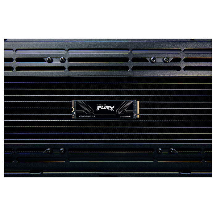 Kingston Fury Renegade G5 1TB M.2 NVMe PCIe 5.0 SSD Kingston Fury Renegade G5 1TB M.2 NVMe PCIe 5.0 SSD