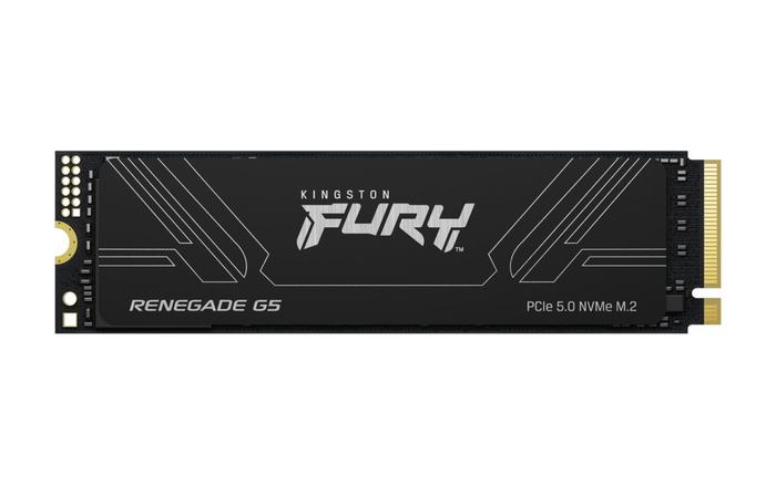 Kingston Technology KFURYRE5 M.2 2280 NVMe PCIe 5.0 SSD 1TB FURY Renegade G5