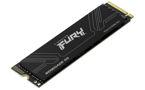 Kingston SFYR2S/1T0 1TB NVMe PCIe 5.0 SSD M.2 2280 Renegade G5