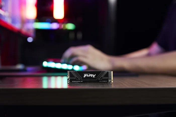 Kingston Fury Renegade G5 M.2 NVMe PCIe 5.0 1TB