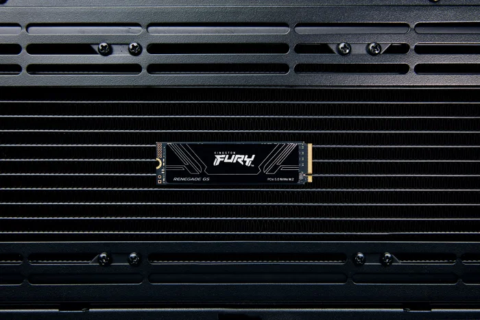 Kingston Fury Renegade G5 M.2 NVMe PCIe 5.0 1TB