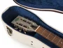 Gator Estuche de madera deluxe Journeyman para guitarra resonadora - Canvas