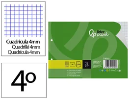 Liderpapel Recambio Cuadernos A5 Apaisado, 100 Hojas Cuadrícula 4 mm, Papel 75 g, 2 Taladros con Margen