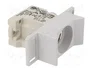 ETI POLAM Base de fusible D01 para raíl DIN 16A 400VAC 1 polo